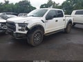 2019 Ford F-150 — photo 2 of 21 | VIN 1FTFW1RG7KFC46641