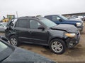 Photo 13 of 16 — 2010 Hyundai Santa Fe