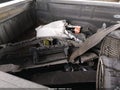 Photo 12 of 17 — 2019 Chevrolet Colorado
