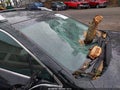 Photo 6 of 17 — 2020 Subaru Outback