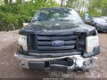 Photo 13 of 17 — 2010 Ford F-150