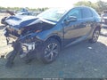 Photo 2 of 19 — 2026 Lexus RX 350