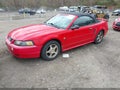 Photo 2 of 11 — 2004 Ford Mustang