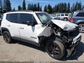 Photo 6 of 15 — 2021 Jeep Renegade