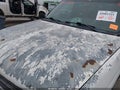 2001 Chevrolet Silverado 1500 — photo 18 of 18 | VIN 2GCEC19T311355606