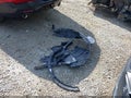 2021 Toyota Camry — photo 18 of 18 | VIN 4T1S11AK5MU419936