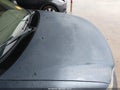 Photo 19 of 19 — 2001 Ford Expedition