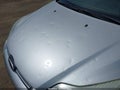 Photo 6 of 17 — 2013 Ford Focus