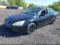 2004 Honda Accord — photo 2 of 12 | VIN 1HGCM66874A096552