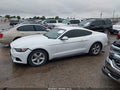 Photo 14 of 19 — 2016 Ford Mustang