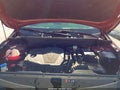 Photo 10 of 18 — 2024 Kia Sportage