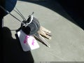 2000 Chevrolet Blazer — photo 11 of 17 | VIN 1GNCS13W7Y2331467