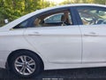 Photo 6 of 16 — 2014 Hyundai Sonata