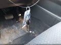 Photo 11 of 16 — 2010 Toyota Matrix