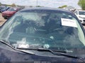 Photo 18 of 22 — 2020 Ford Escape