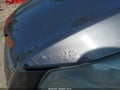 Photo 15 of 17 — 2014 Ford Escape