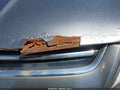 Photo 16 of 17 — 2014 Ford Escape