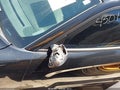2016 Dodge Charger — photo 13 of 13 | VIN 2C3CDXHG8GH327624