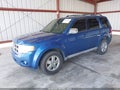 Photo 2 of 12 — 2009 Ford Escape