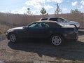 Photo 14 of 16 — 2014 Ford Mustang