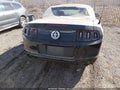 Photo 16 of 16 — 2014 Ford Mustang