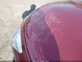 Photo 6 of 11 — 2013 Nissan Altima