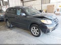 Photo 1 of 13 — 2008 Hyundai Santa Fe