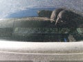 Photo 9 of 15 — 2014 Honda Accord
