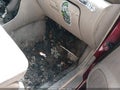 Photo 15 of 15 — 2002 Subaru Outback