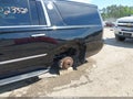 Photo 6 of 16 — 2020 Cadillac Escalade ESV