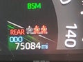 2019 Toyota RAV4 — photo 15 of 16 | VIN 2T3Y1RFV1KW021770