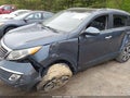 Photo 6 of 14 — 2013 Kia Sportage