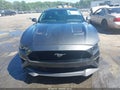 Photo 12 of 16 — 2019 Ford Mustang