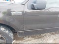2006 Ford F-150 — photo 17 of 17 | VIN 1FTPX12556NA79511
