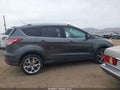 Photo 14 of 17 — 2015 Ford Escape