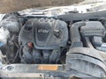 2013 Hyundai Sonata — photo 10 of 12 | VIN 5NPEB4AC1DH584725