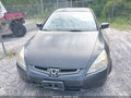 Photo 6 of 11 — 2005 Honda Accord