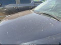 Photo 6 of 13 — 2016 Chevrolet Equinox