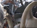 2000 GMC Yukon XL — photo 14 of 15 | VIN 3GKEC16T9YG121576