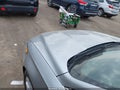Photo 20 of 21 — 2020 Ford Fusion