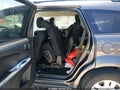 2020 Dodge Journey — photo 8 of 10 | VIN 3C4PDCAB1LT220615