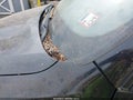Photo 21 of 21 — 2012 BMW X5