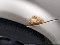 2001 Nissan Maxima — photo 6 of 11 | VIN JN1CA31D61T626295