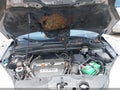 Photo 10 of 11 — 2008 Honda CR-V