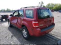 Photo 3 of 13 — 2008 Ford Escape