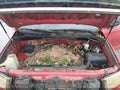 Photo 10 of 17 — 2010 Toyota Tundra