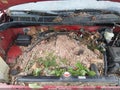 Photo 6 of 17 — 2010 Toyota Tundra