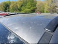 Photo 13 of 14 — 2013 Hyundai Santa Fe