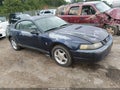 Photo 1 of 12 — 2001 Ford Mustang