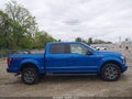 Photo 13 of 18 — 2015 Ford F-150